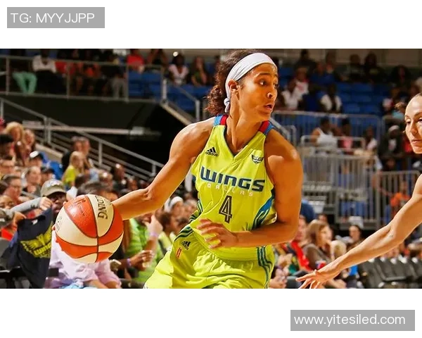 飞马与自由人之间的较量：探索勇气与自由的极限对决