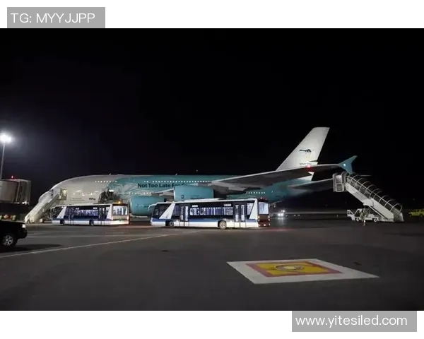 马达加斯加与刚果的精彩对决分析与比赛前瞻