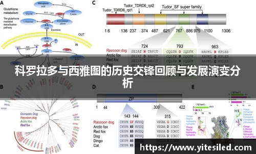 emc易倍登录